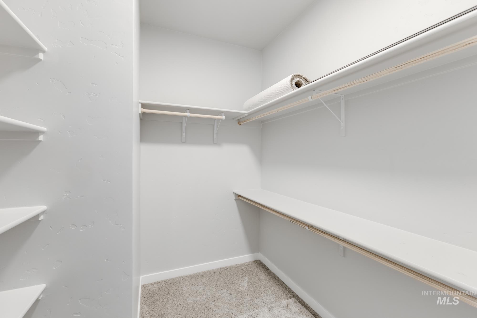 Spacious closet featuring light carpet