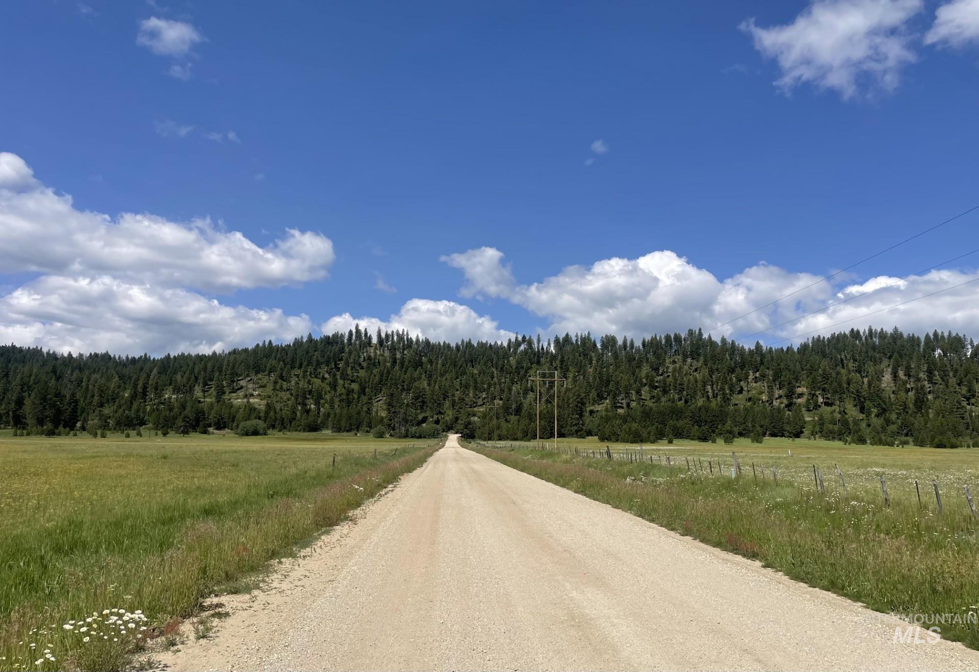 View of dirt / gravel road featuring a forest view and a view of countryside