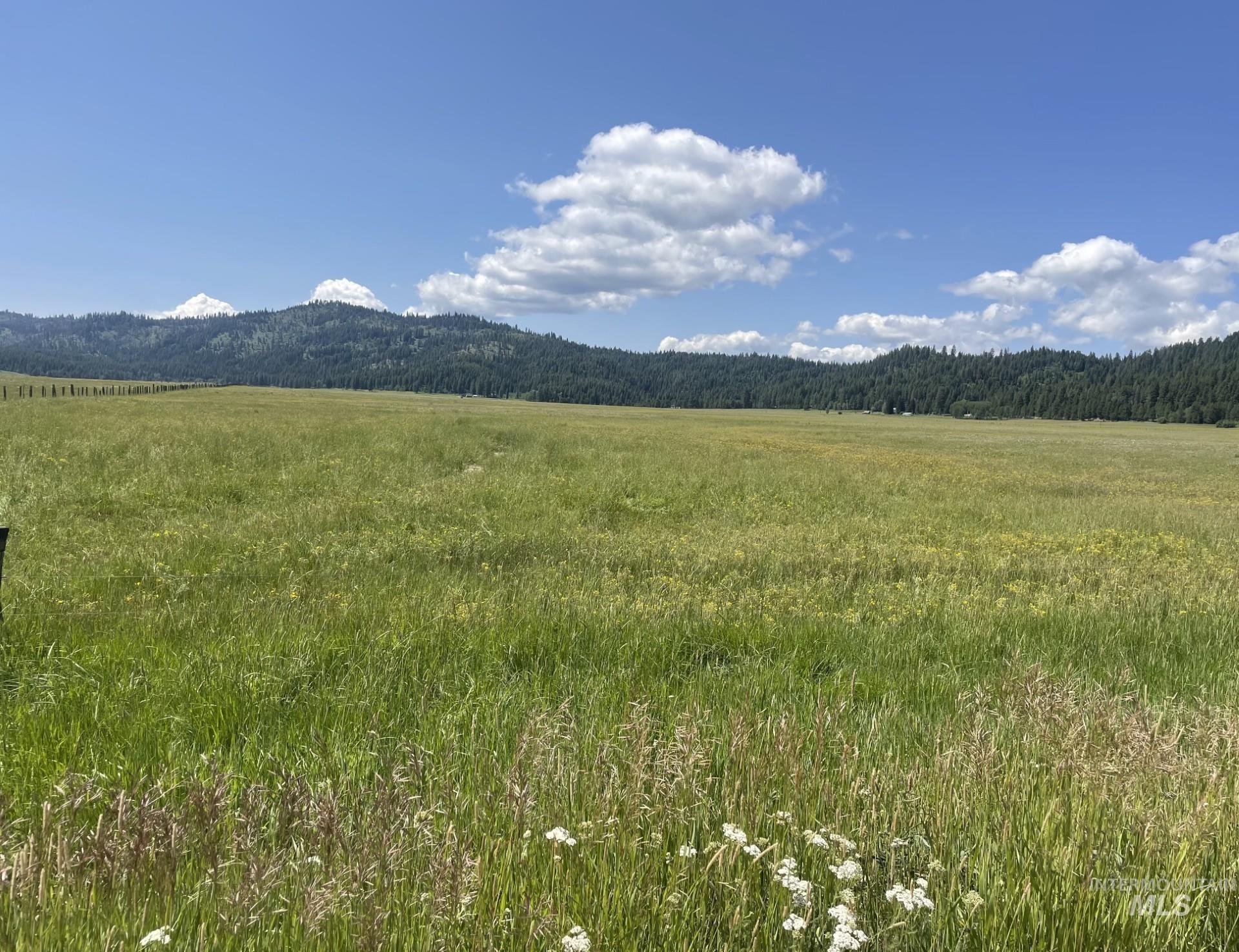 View of mountain backdrop with a forest and rural landscape