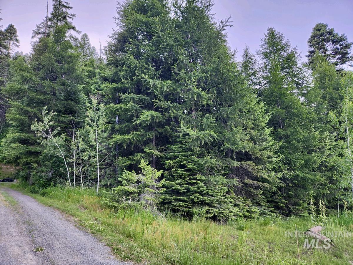 1457 West Mountain Road