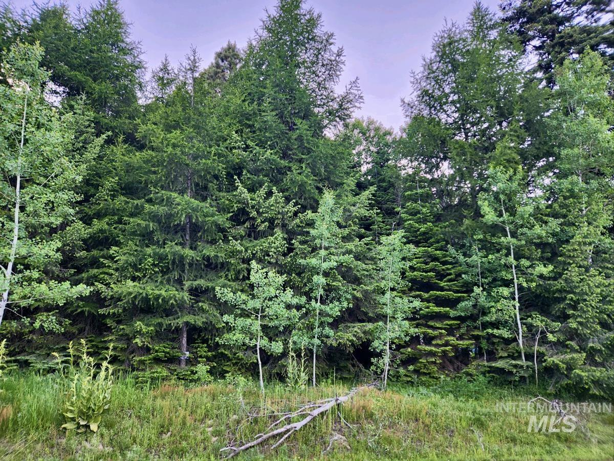 1457 West Mountain Road