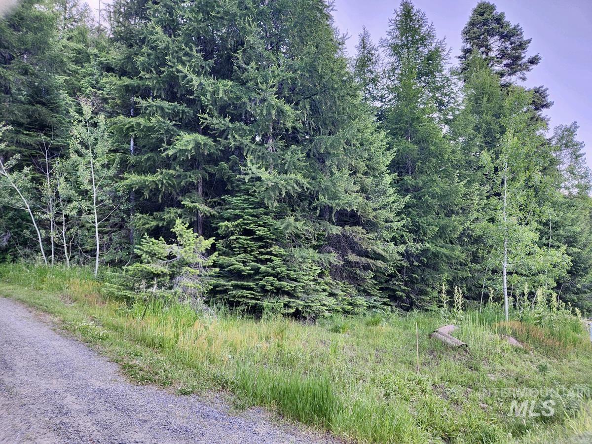 1457 West Mountain Road