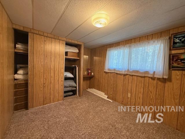Interior space featuring wood walls, carpet, and a textured ceiling