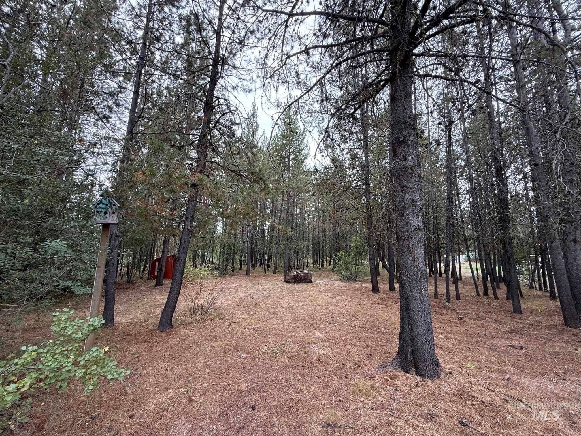 View of wooded area