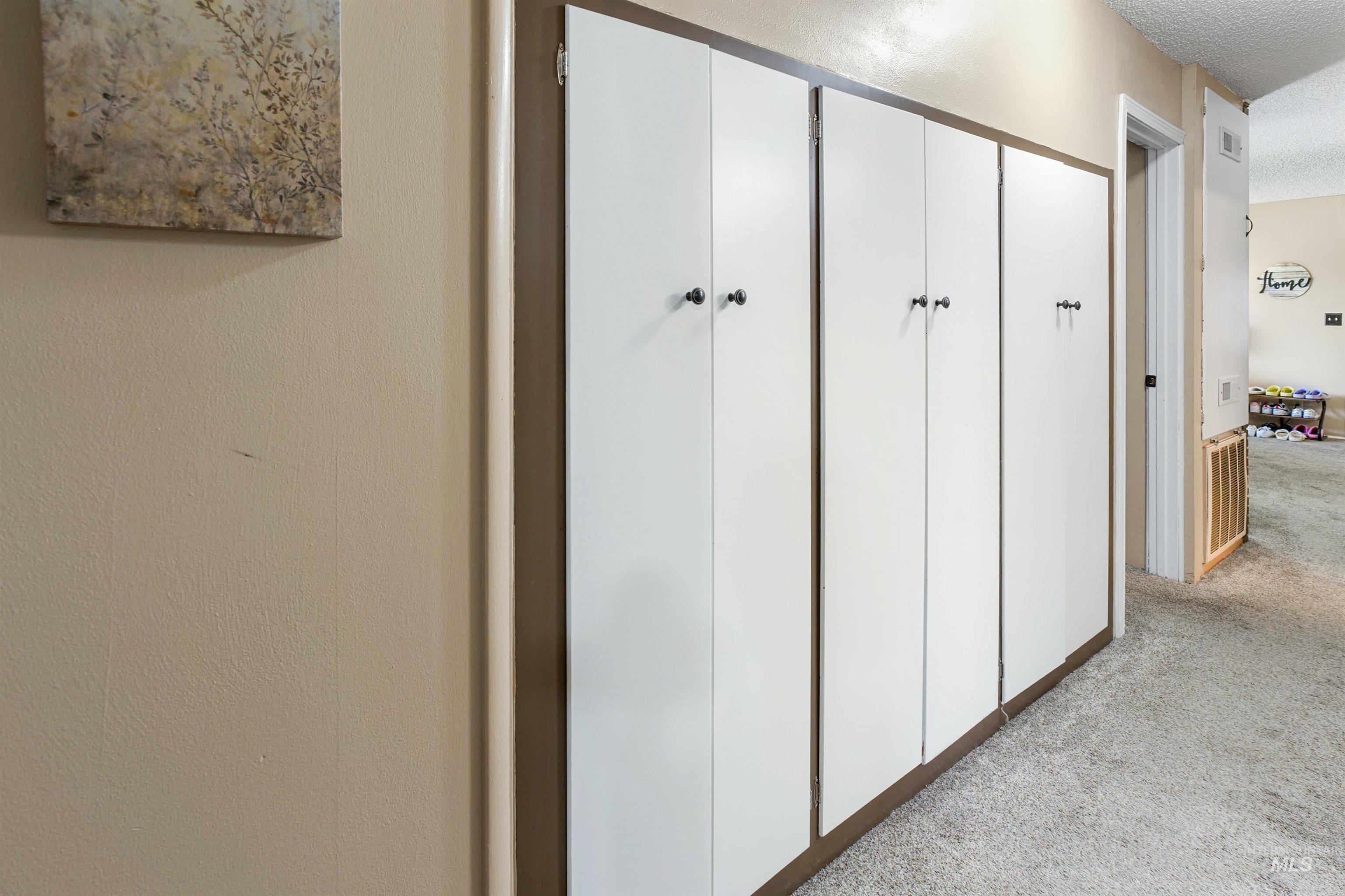 Built-in white cabinetry with contrasting trim and dark hardware, complemented by textured neutral-toned walls and light-toned carpeting