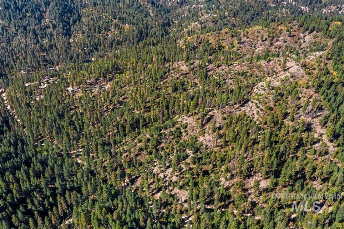 Subject property view of mountain background in the Boise National Forest
