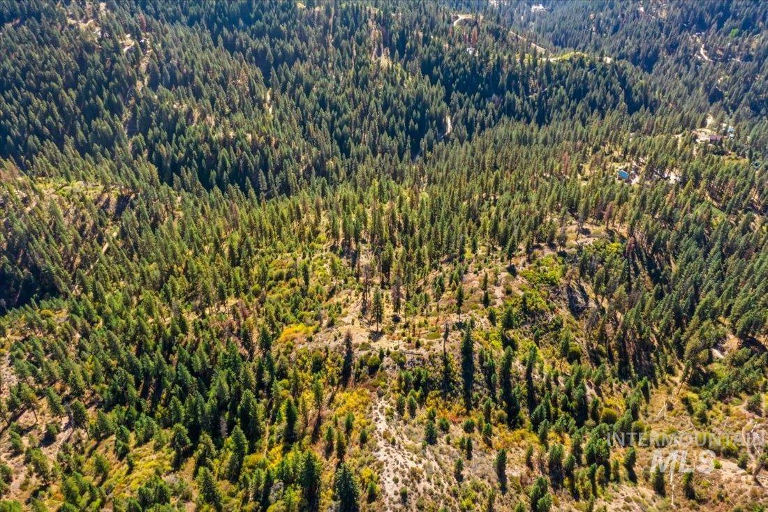Subject property view of mountain background in the Boise National Forest