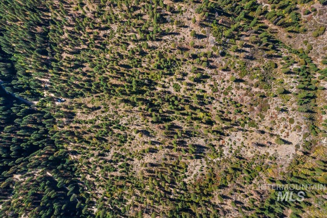 Subject property view of mountain background in the Boise National Forest