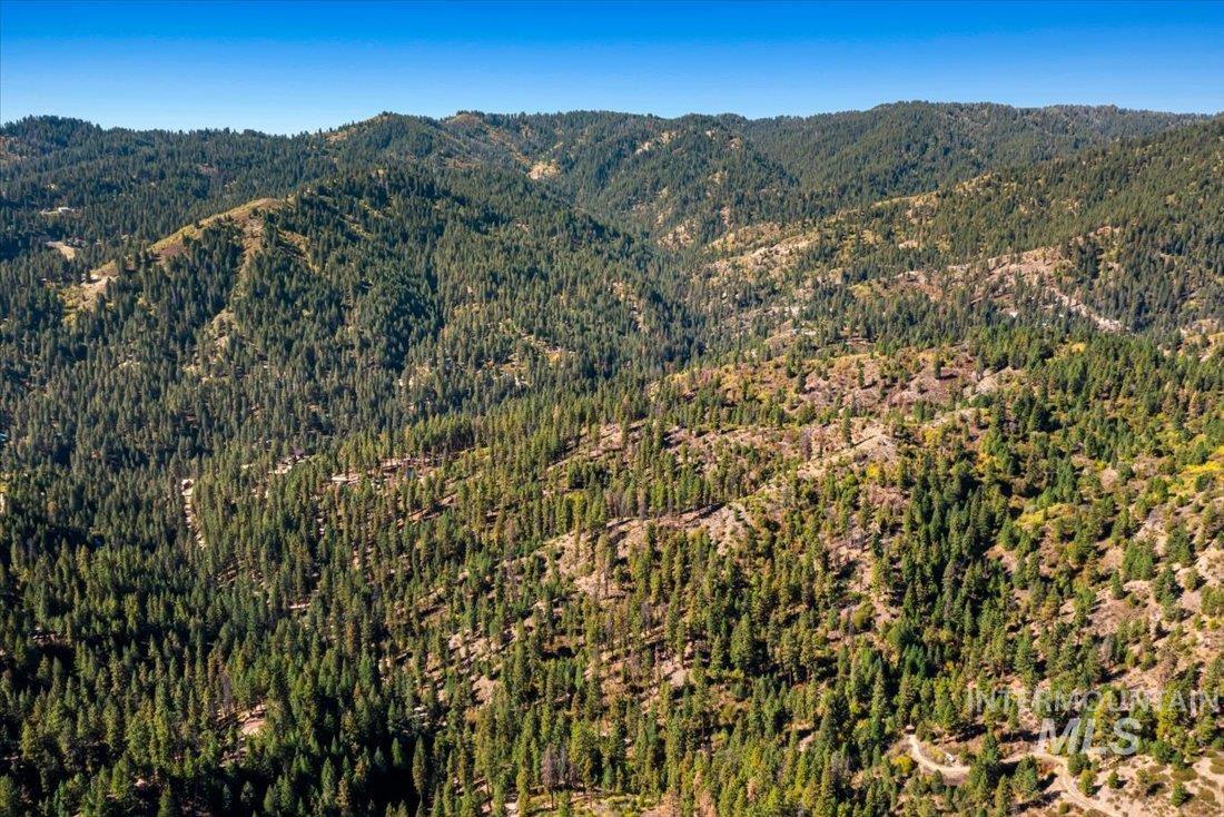 Subject property view of mountain background in the Boise National Forest