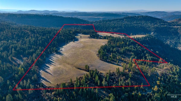 NKA 320ACS SUMMER RD, OROFINO, ID 83544 - Image 31e7c8a48ed1fceb2cee0f59a18e0f66/819917589