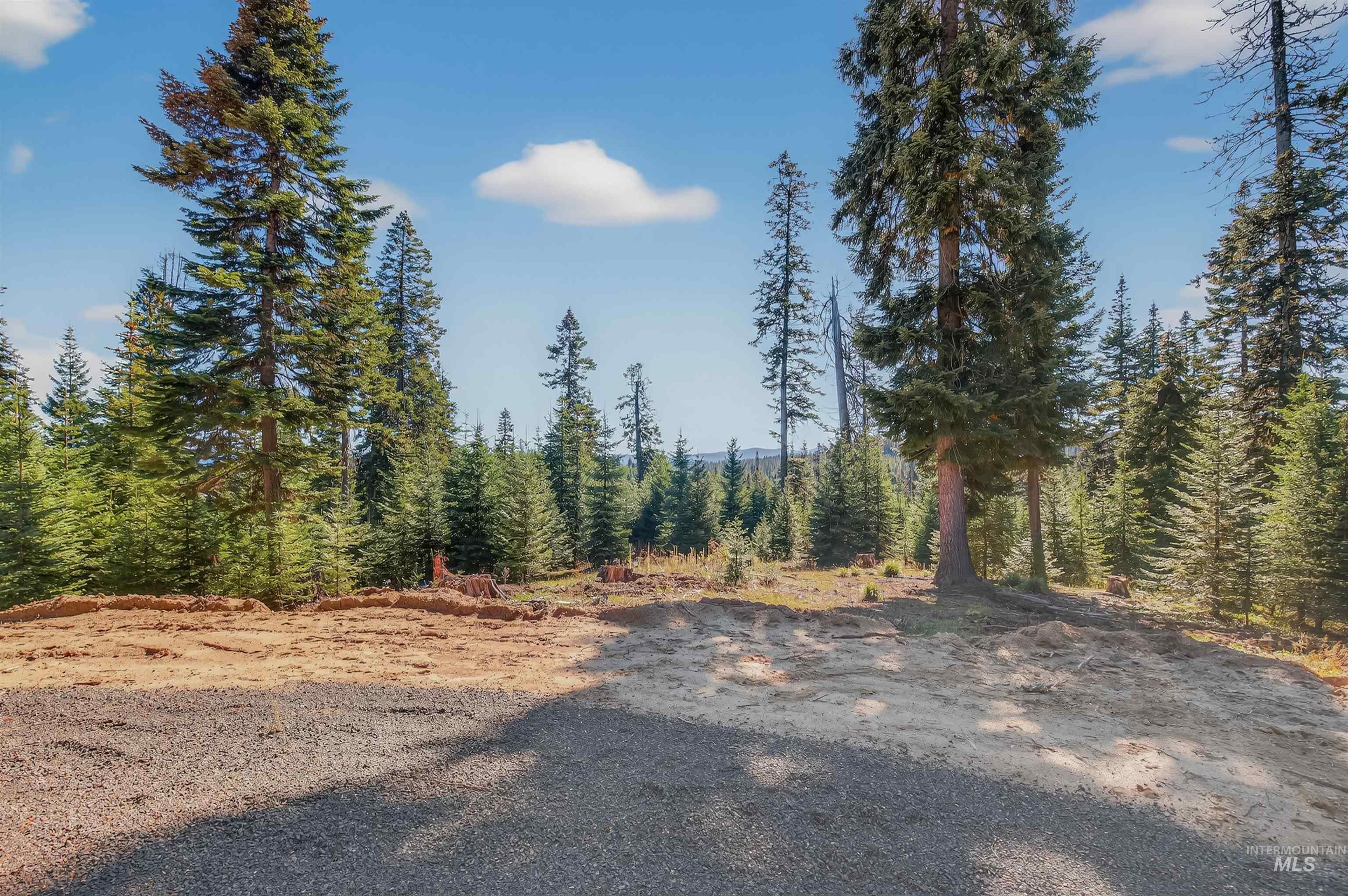 TBD Parcel 4 Tree Farm Trails Road