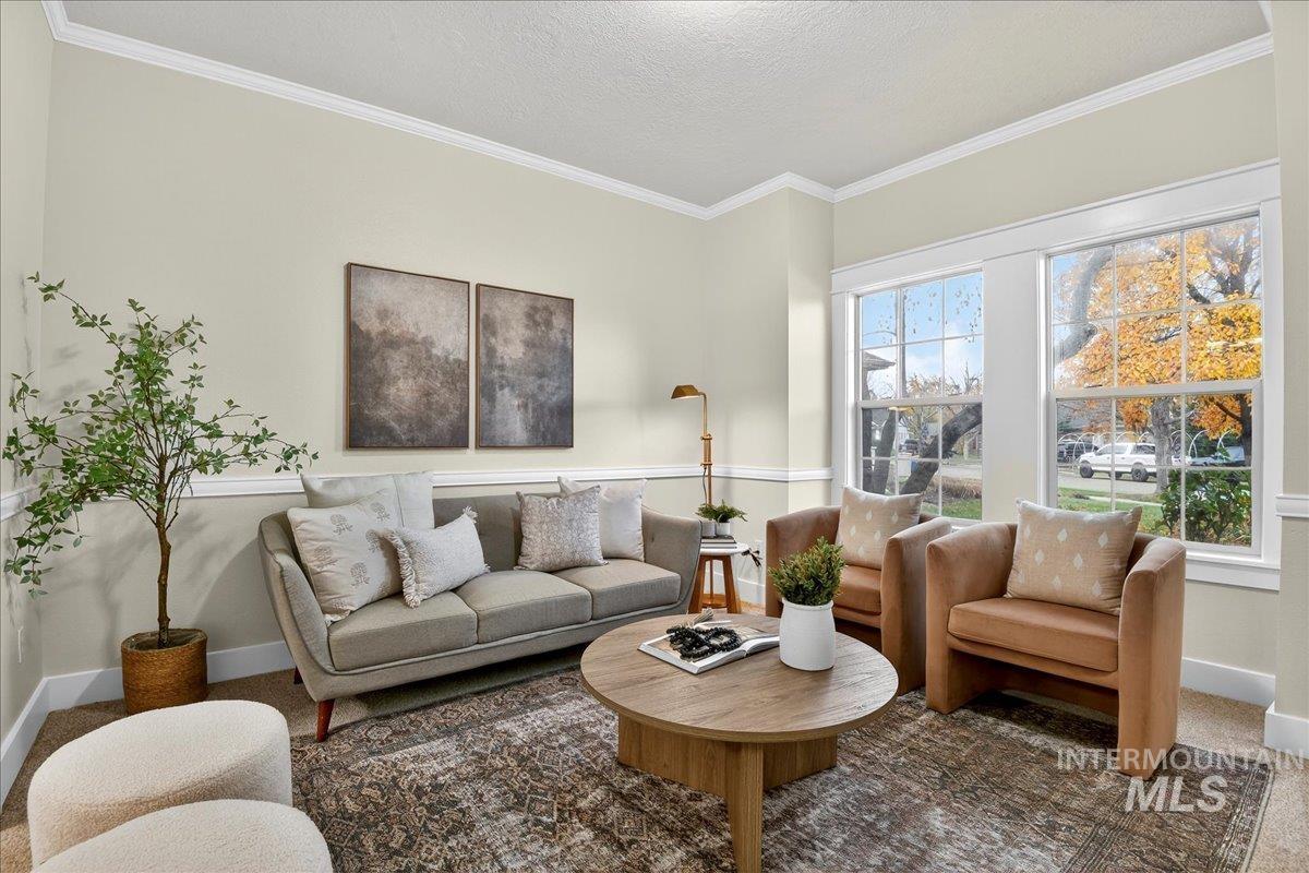 Carpeted living area featuring ornamental molding and a textured ceiling