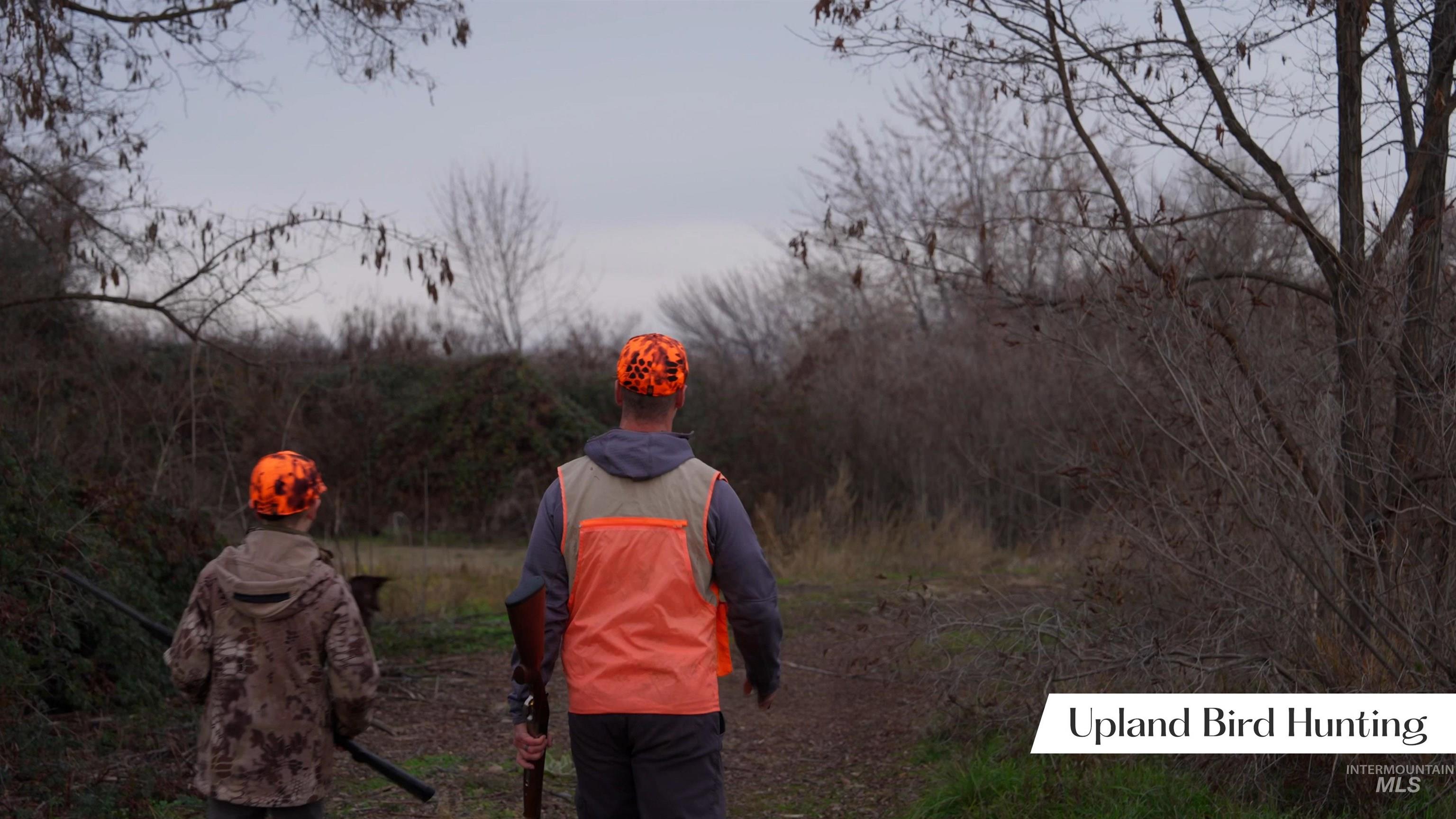 Exterior view of a heavily wooded area