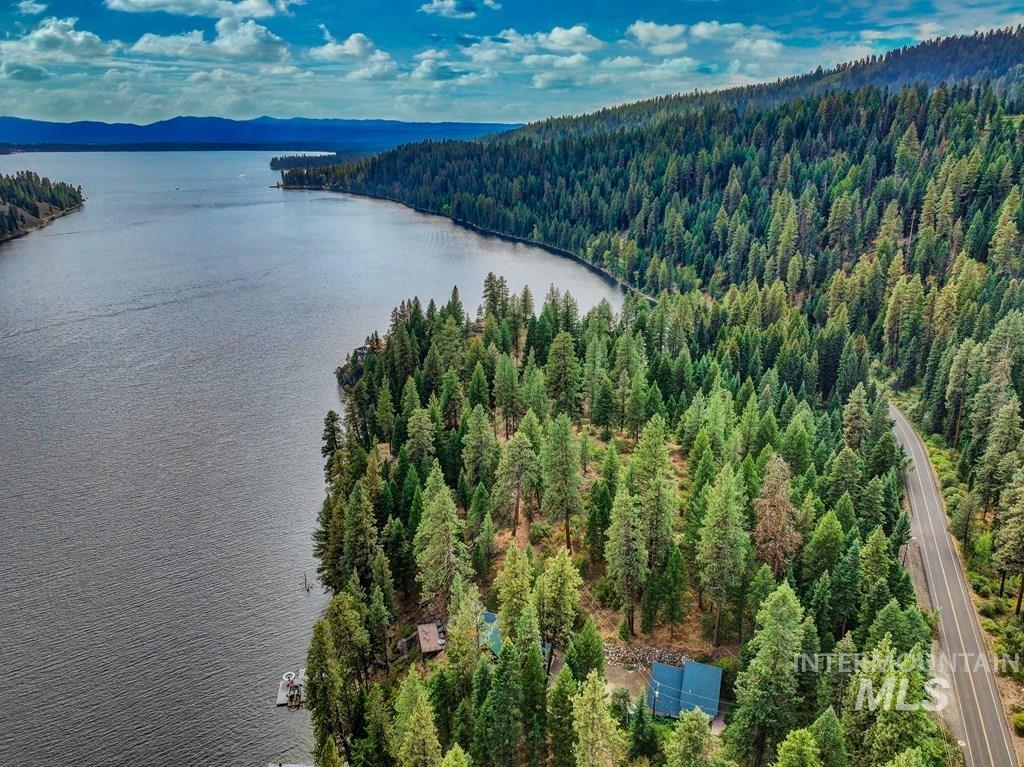 Waterfront property featuring a private dock, surrounded by mature evergreen trees