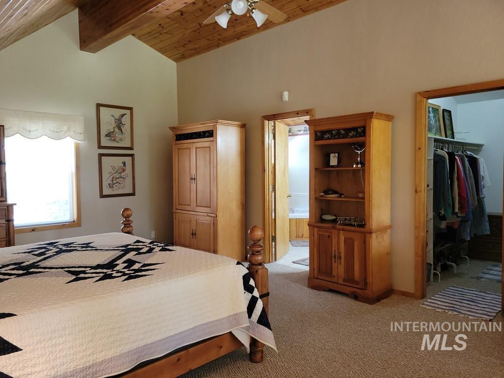 Bedroom featuring light carpet, a walk in closet, wooden ceiling, and a ceiling fan