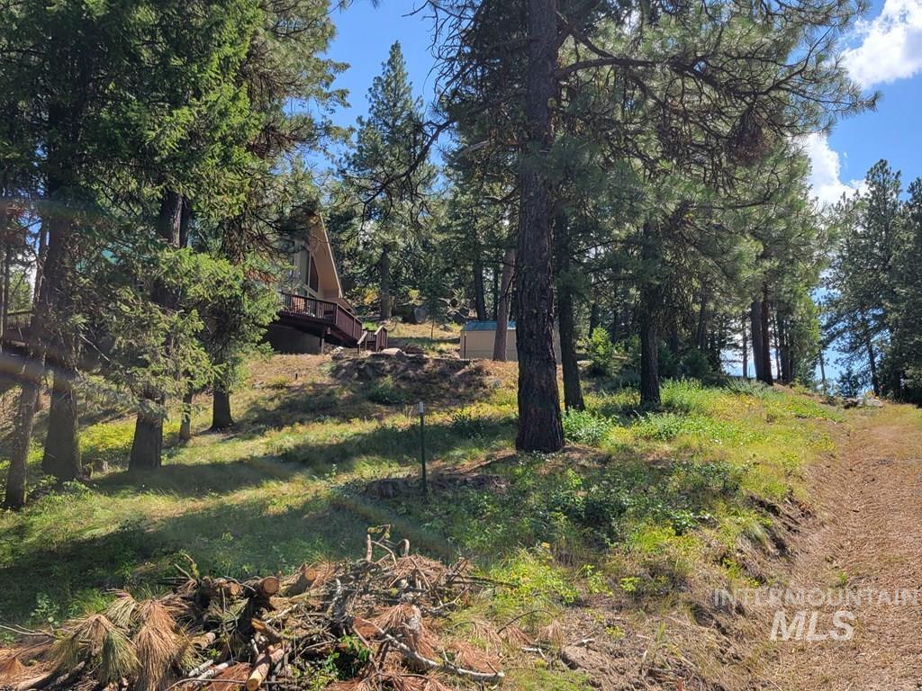 View of local wilderness