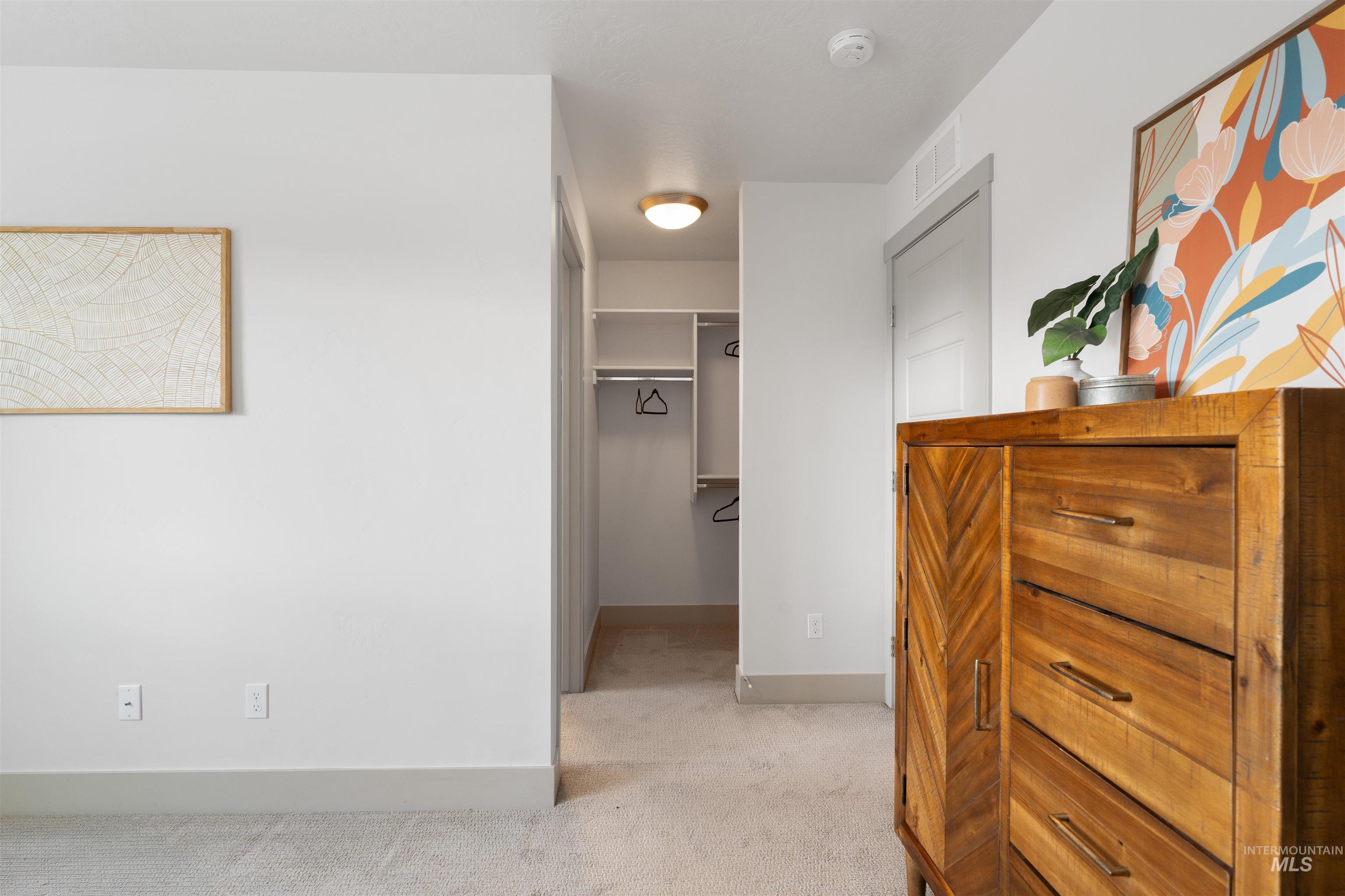 Carpeted hallway leading to a walk-in closet with built-in shelving and hanging rods