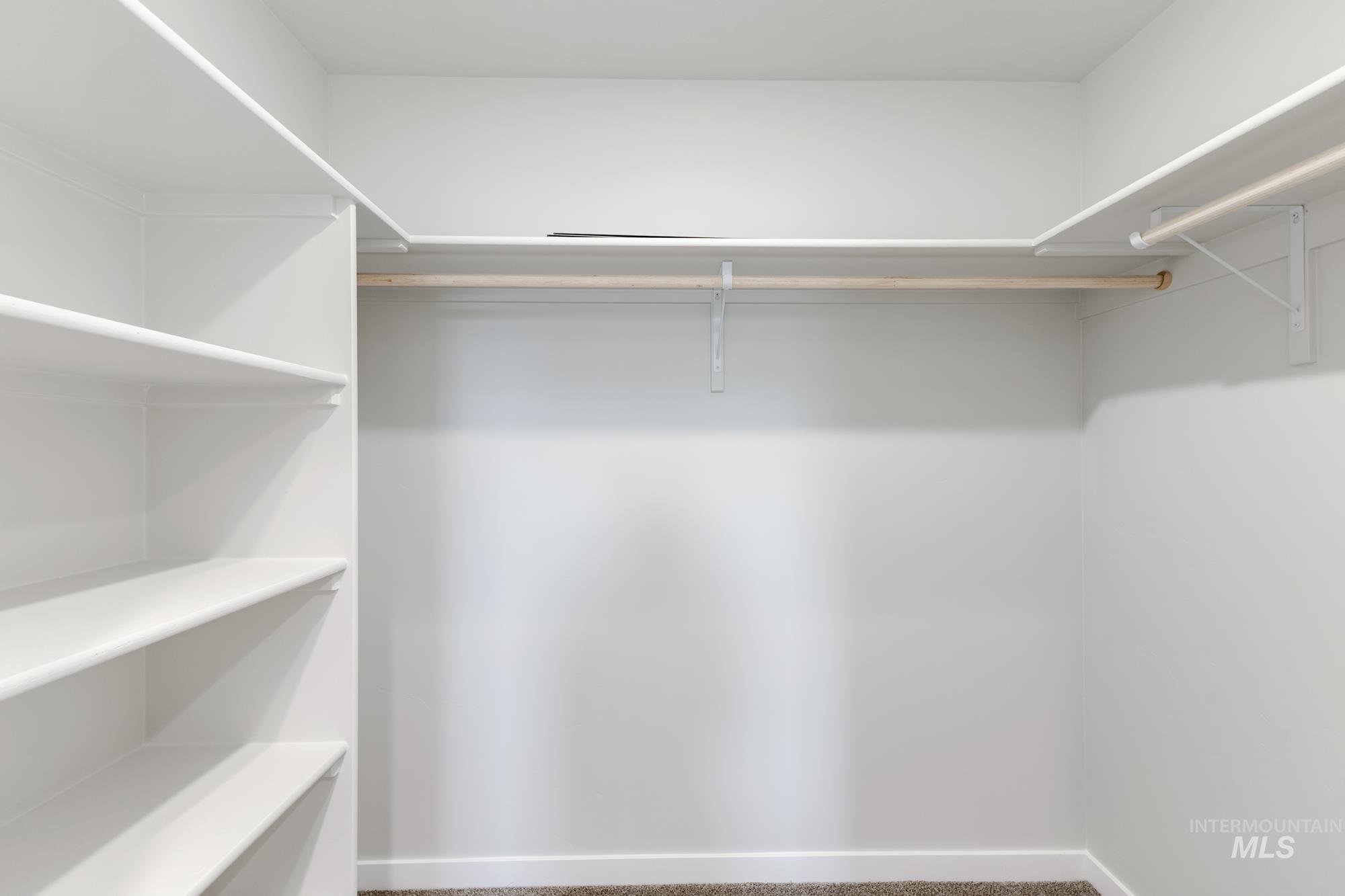 Spacious closet featuring carpet flooring