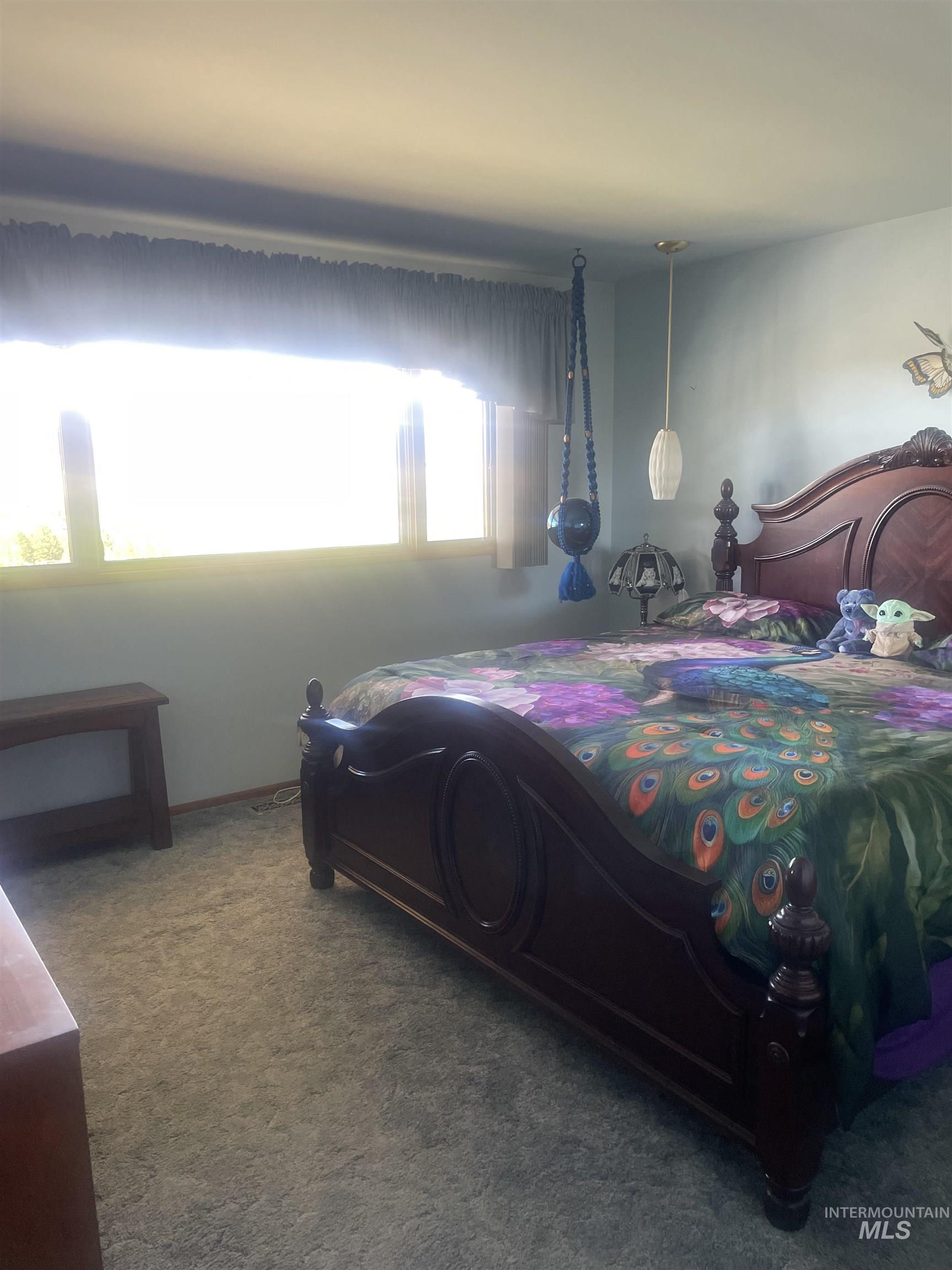 Bedroom featuring carpet floors