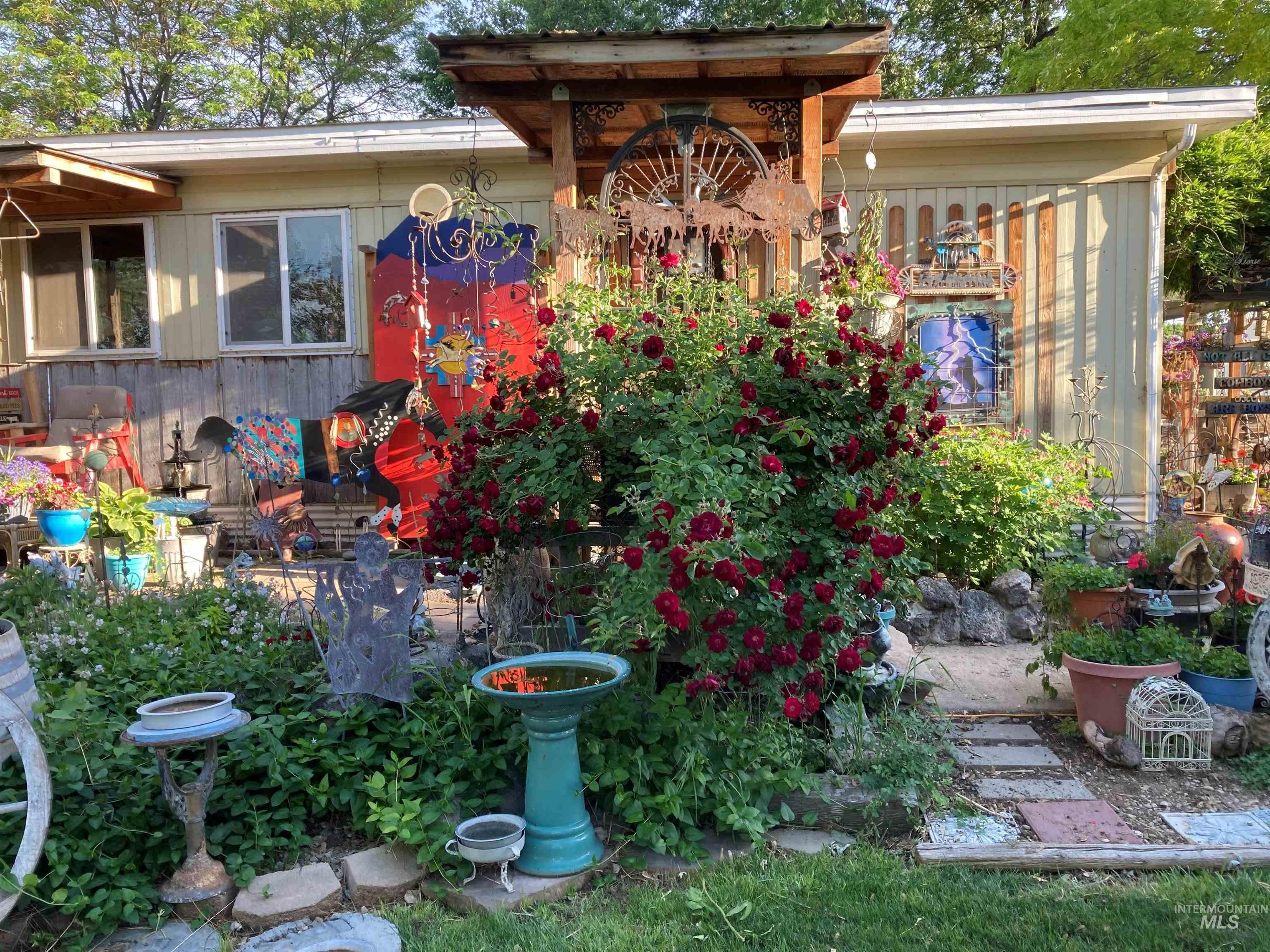 Summer Flowers