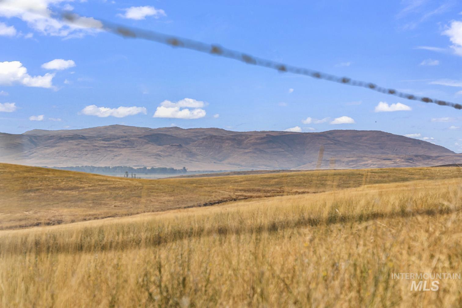 TBD Highway 95