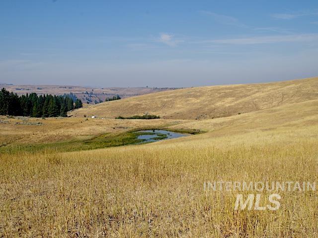 TBD Ditch Creek Road
