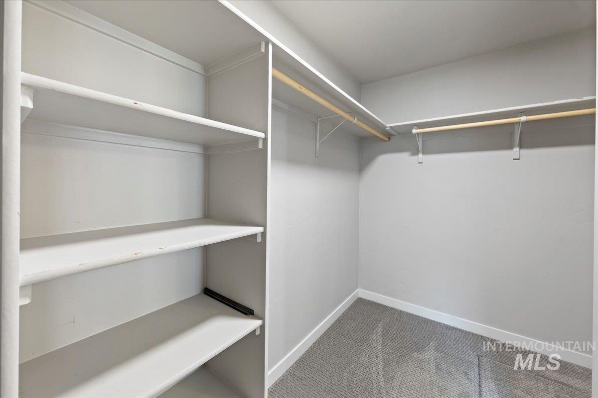 Walk in closet with carpet flooring
