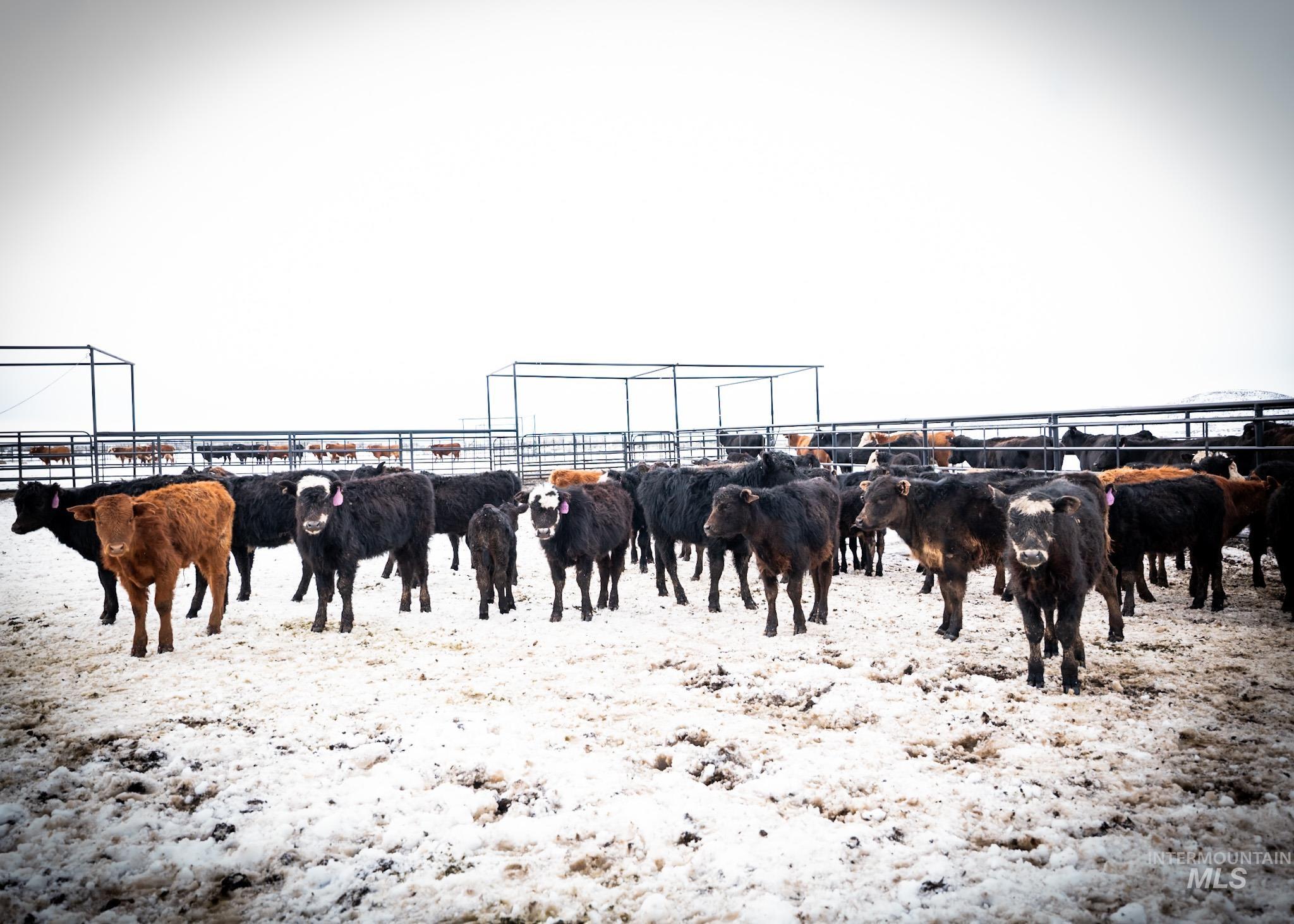 View of home's community