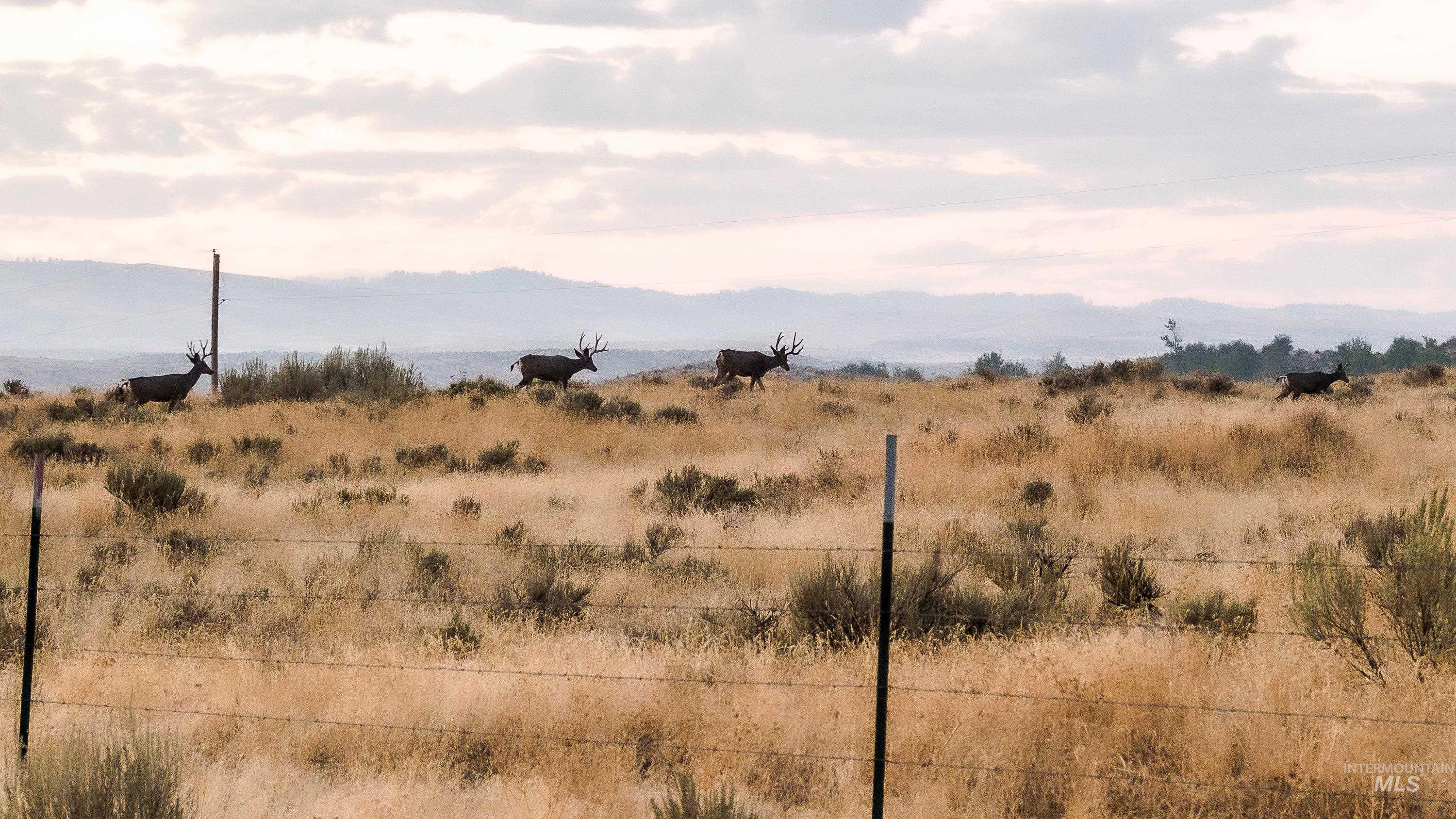 View of undeveloped land featuring rural landscape