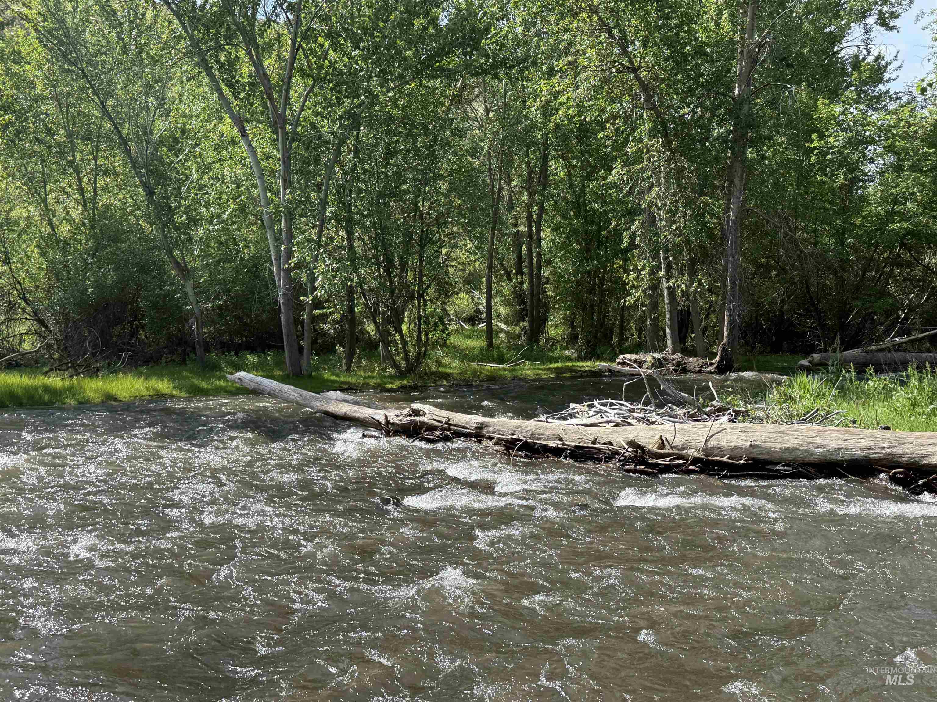 View of tree filled area with a water view