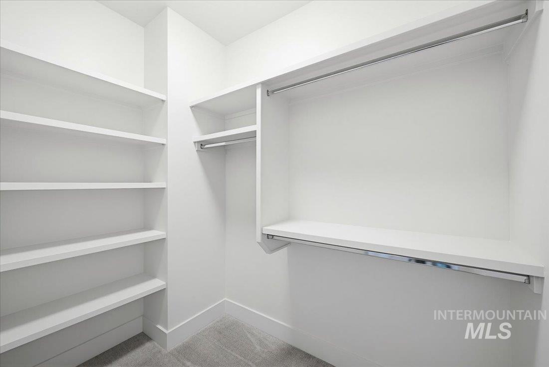 Walk-in closet featuring white built-in shelving, white walls, and light gray carpet