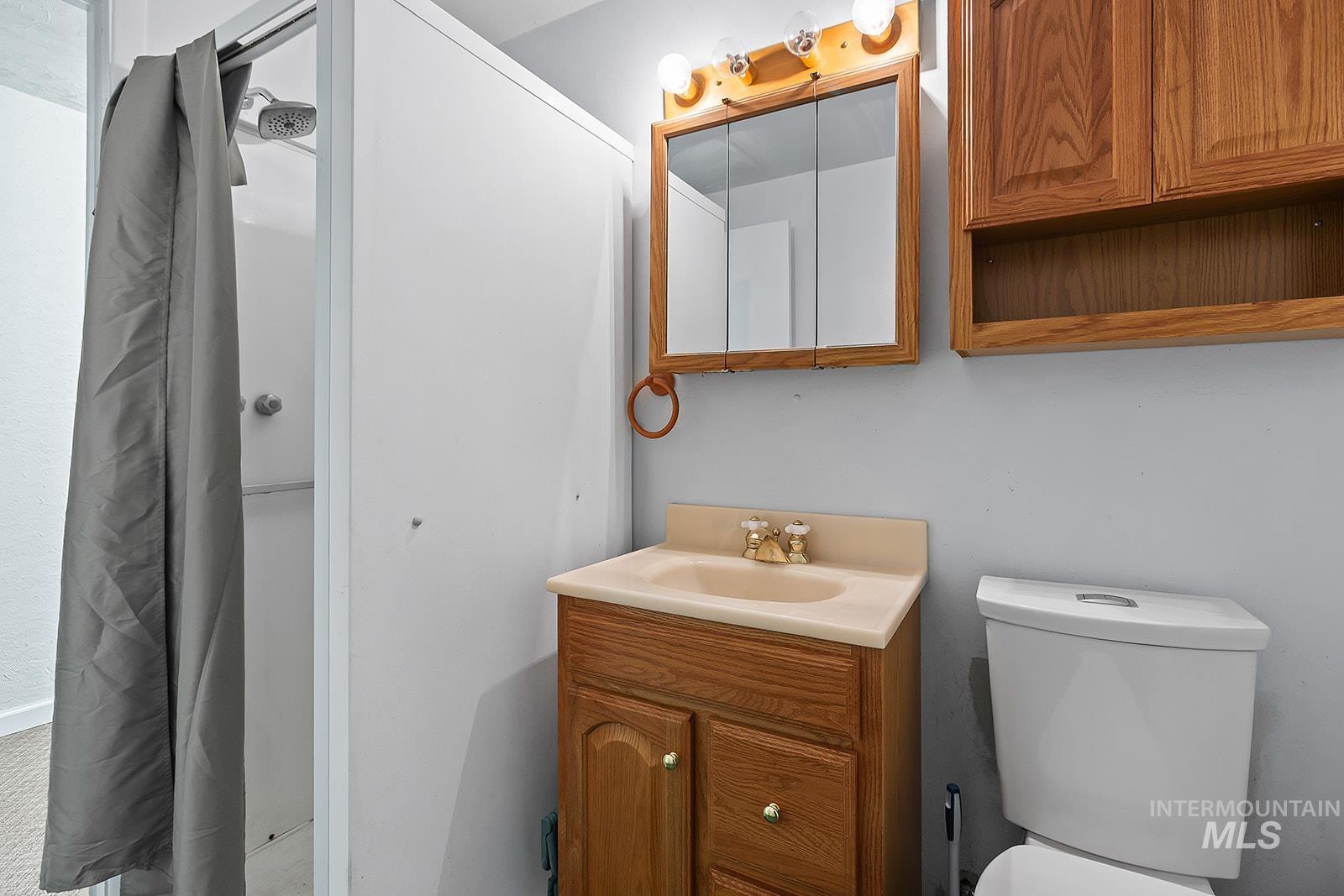 Bathroom with vanity and a shower with curtain