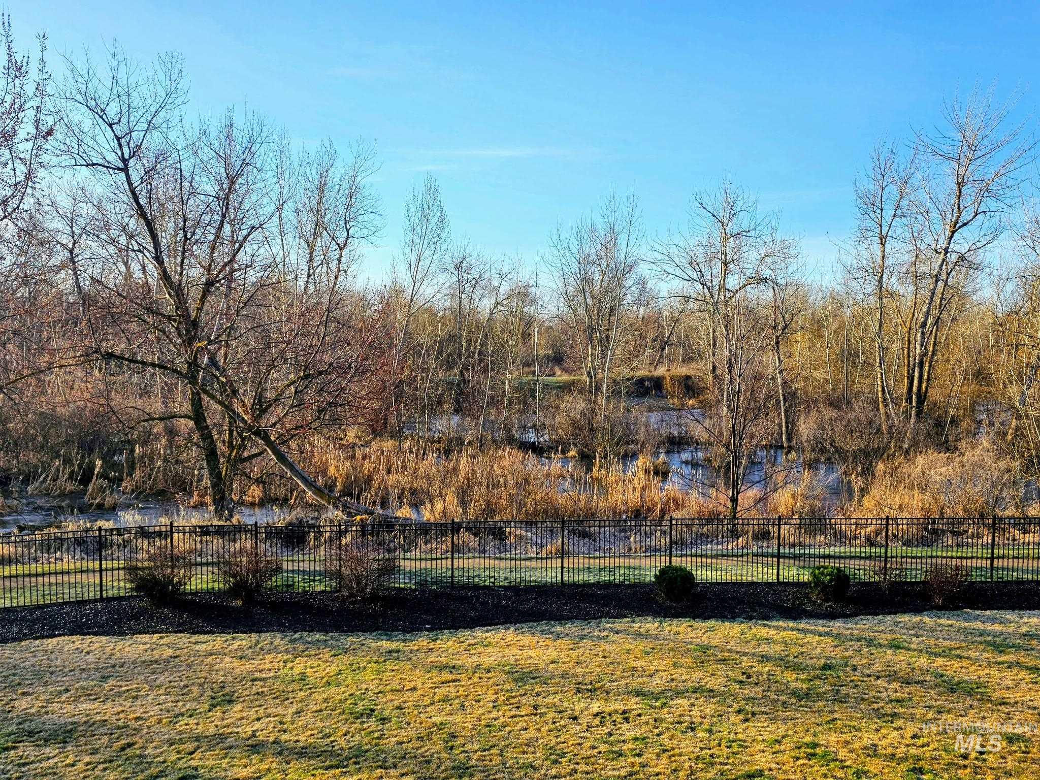 View of yard with view of scattered trees