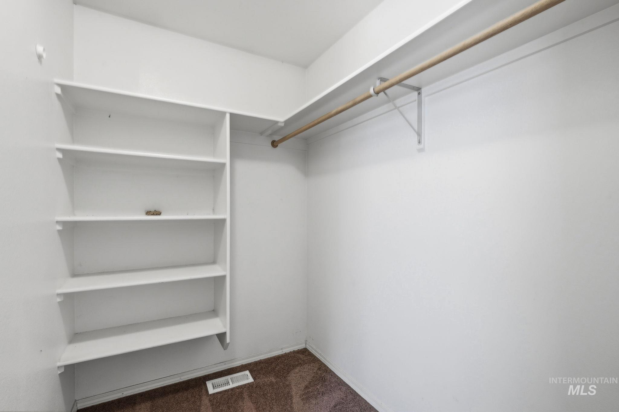 Walk-in closet featuring white built-in shelving, a full-length clothes rod, and brown carpeting