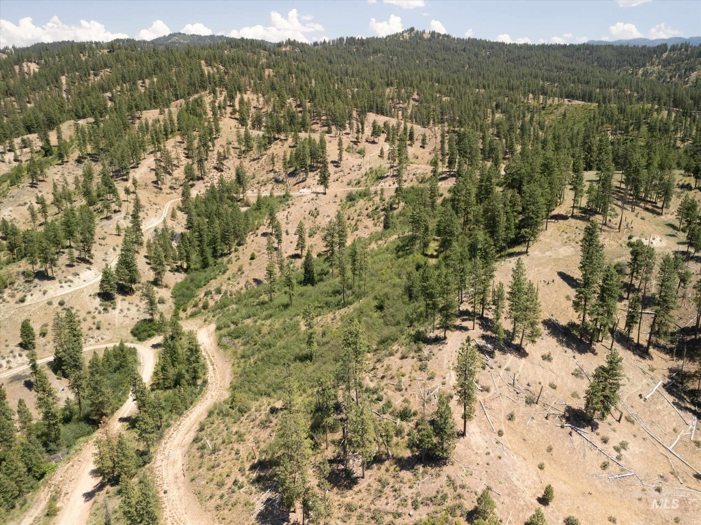 View of property location featuring a forest