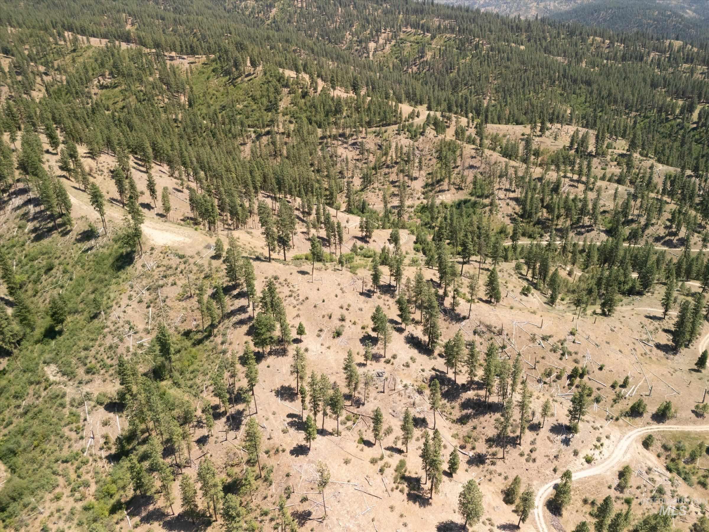 Aerial overview of property's location