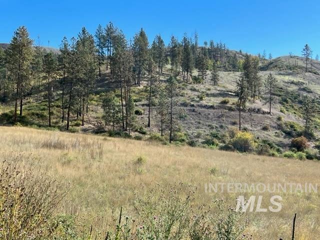 Photo of 2 Elk Hill Road, Kamiah, ID 83536 (MLS # 99003386)