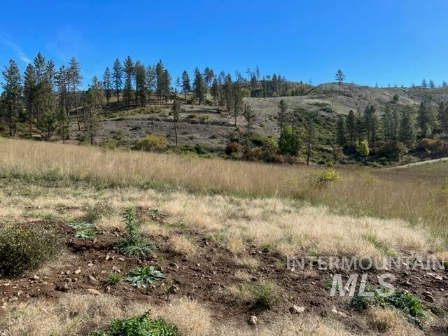 Photo of 2 Elk Hill Road, Kamiah, ID 83536 (MLS # 99003386)