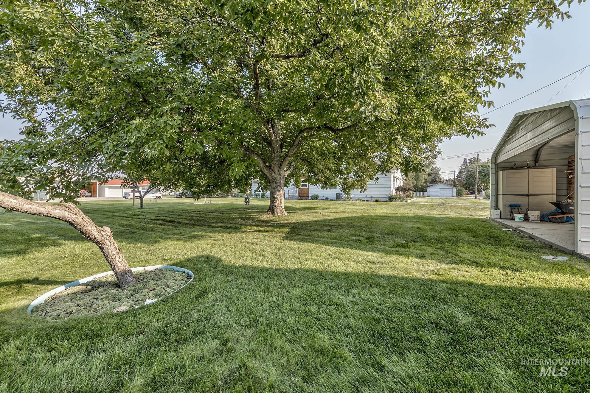 View of grassy yard