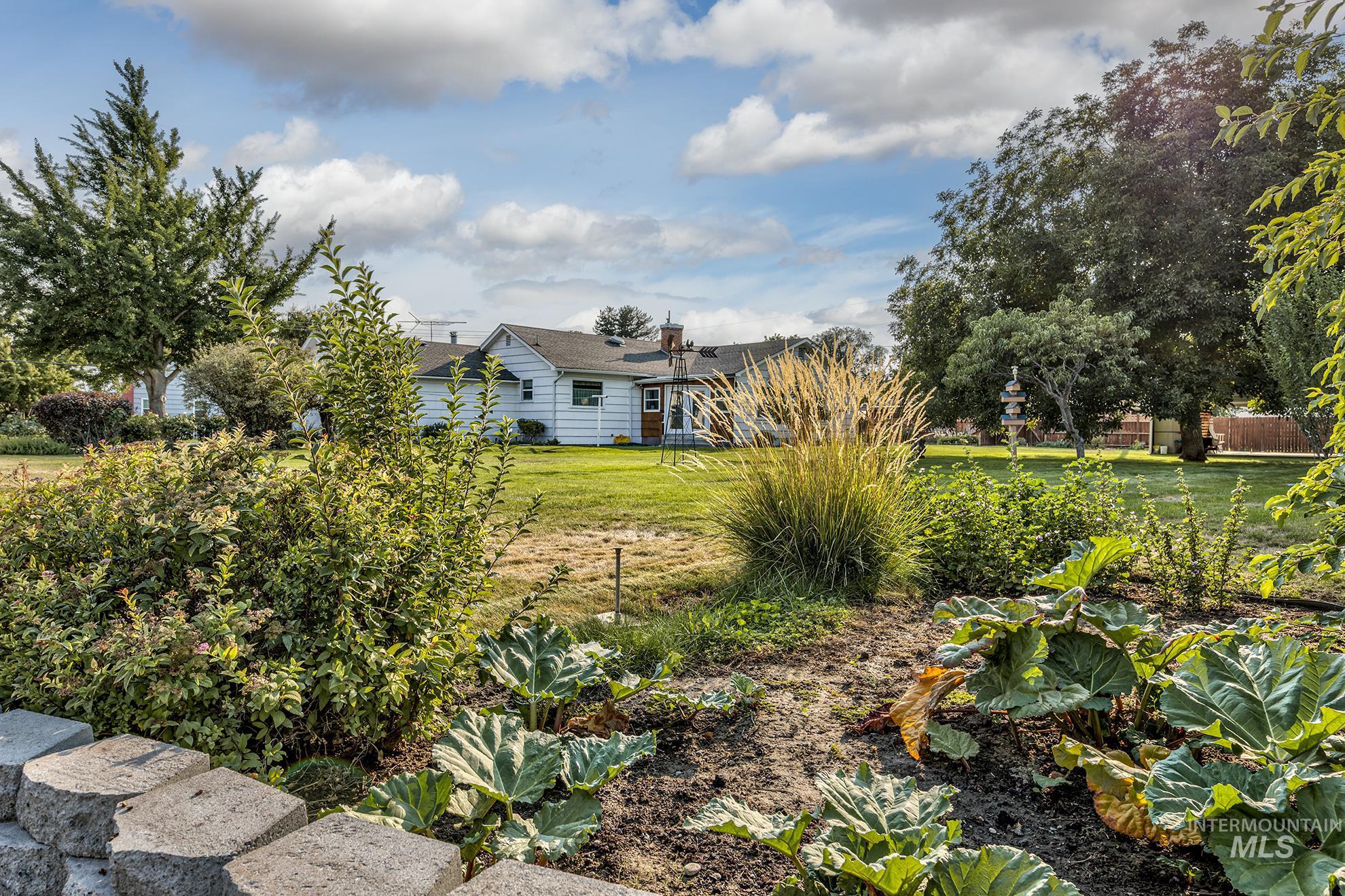View of grassy yard