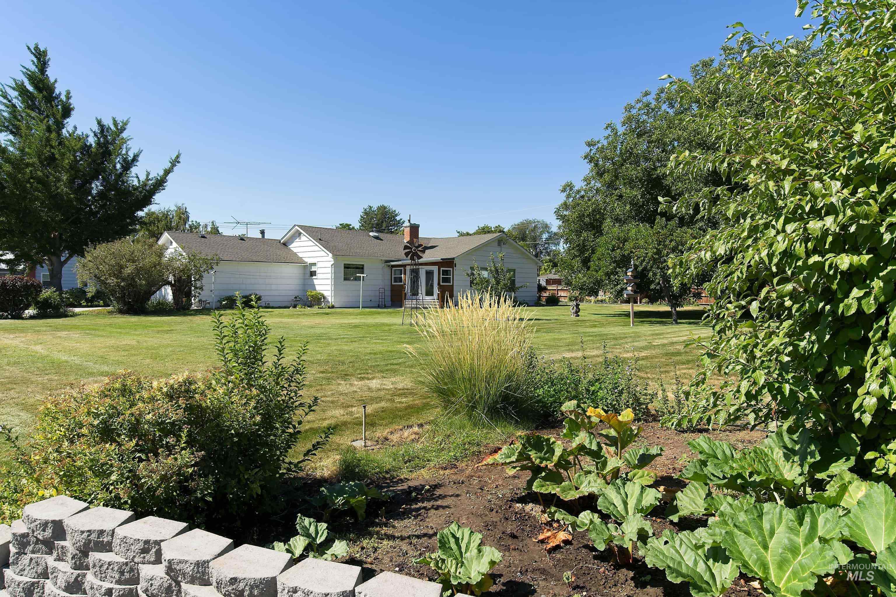 View of grassy yard