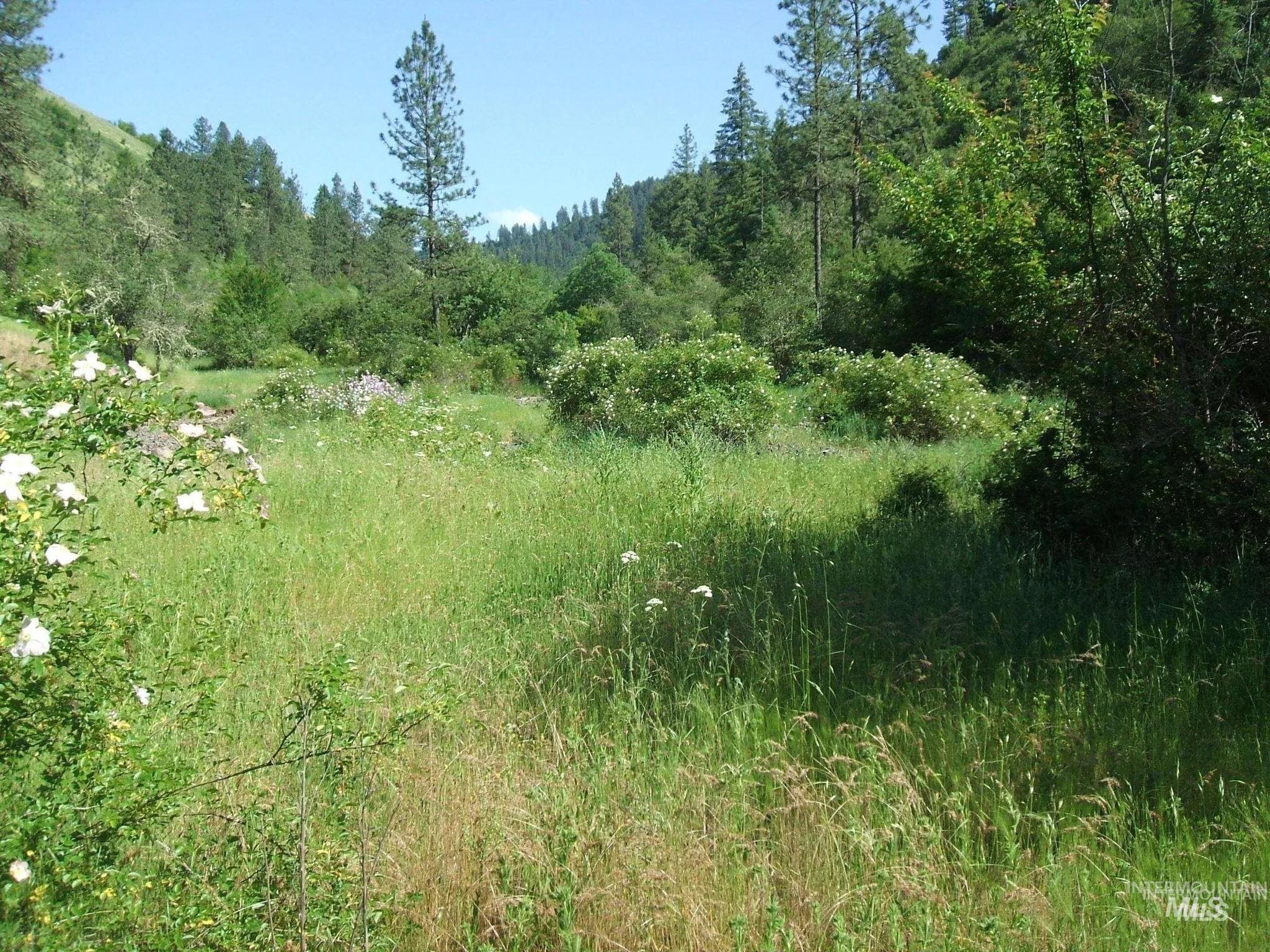 160 204 152 Rabbit Creek Road, Stites, Idaho image 11