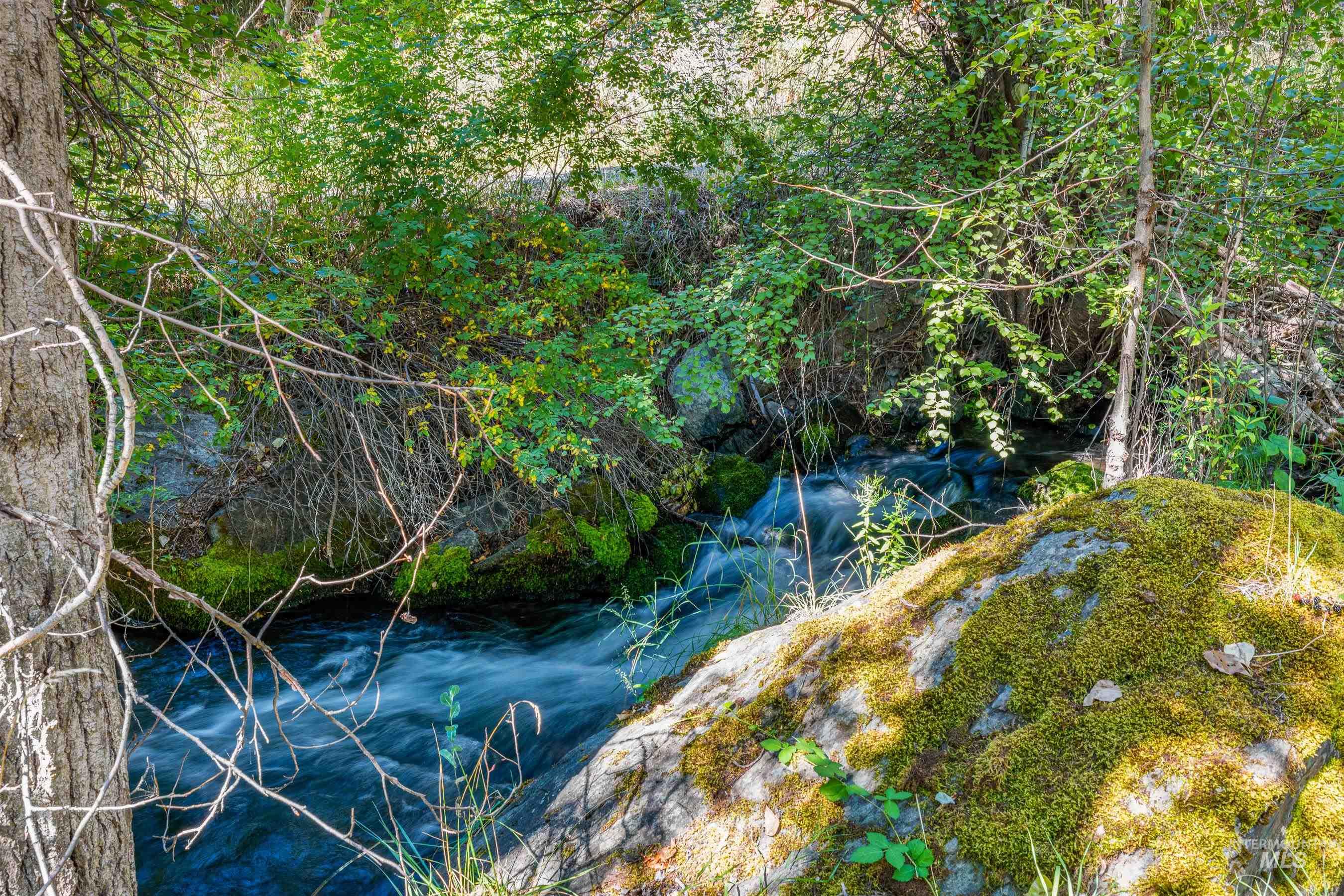 View of undeveloped land