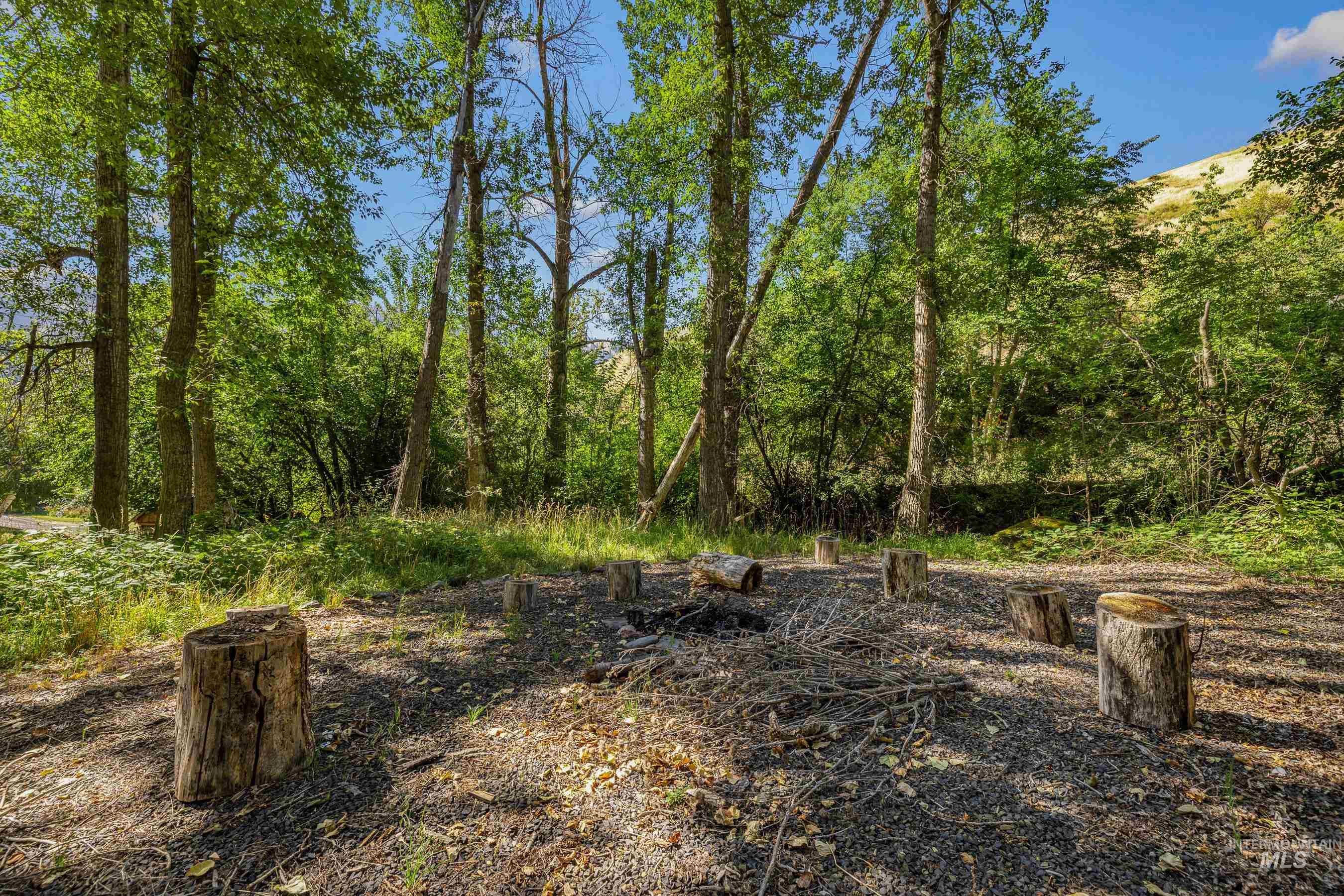 View of yard with a view of trees