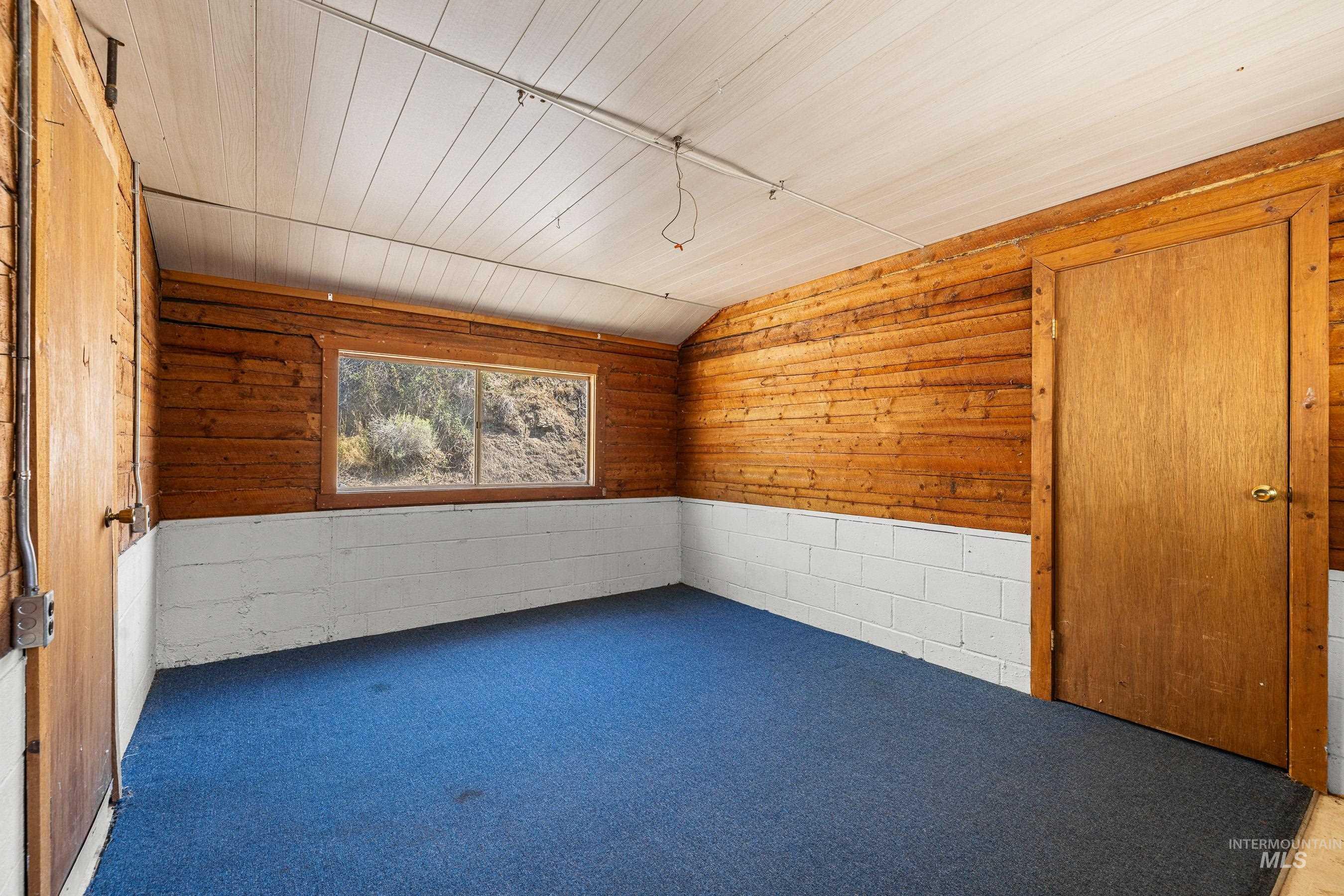 Carpeted empty room with wood walls and lofted ceiling