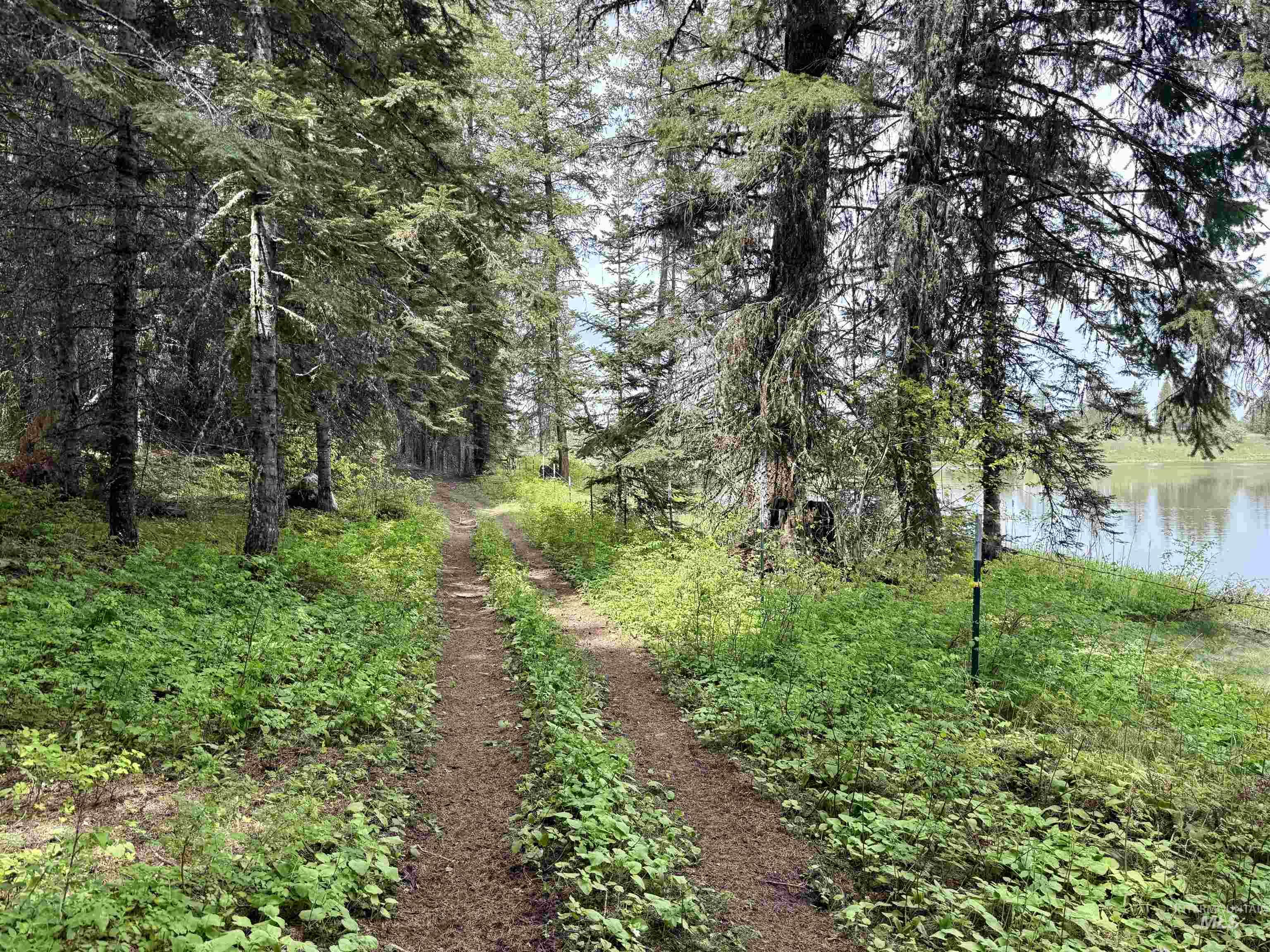 TBD 4 Mile Road