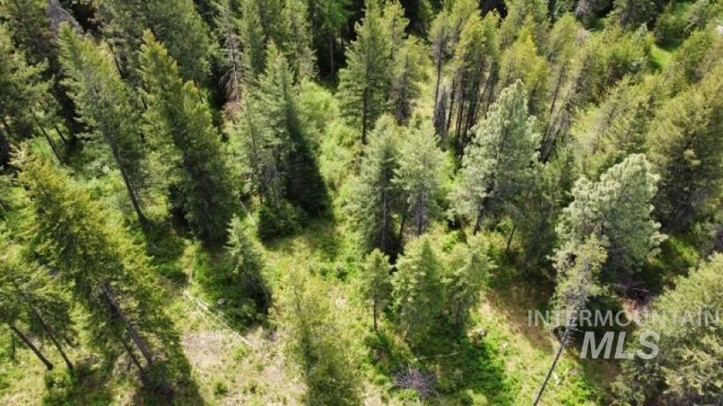 Photo of TBD Old Avon Rd, Deary, ID 83823 (MLS # 98947186)