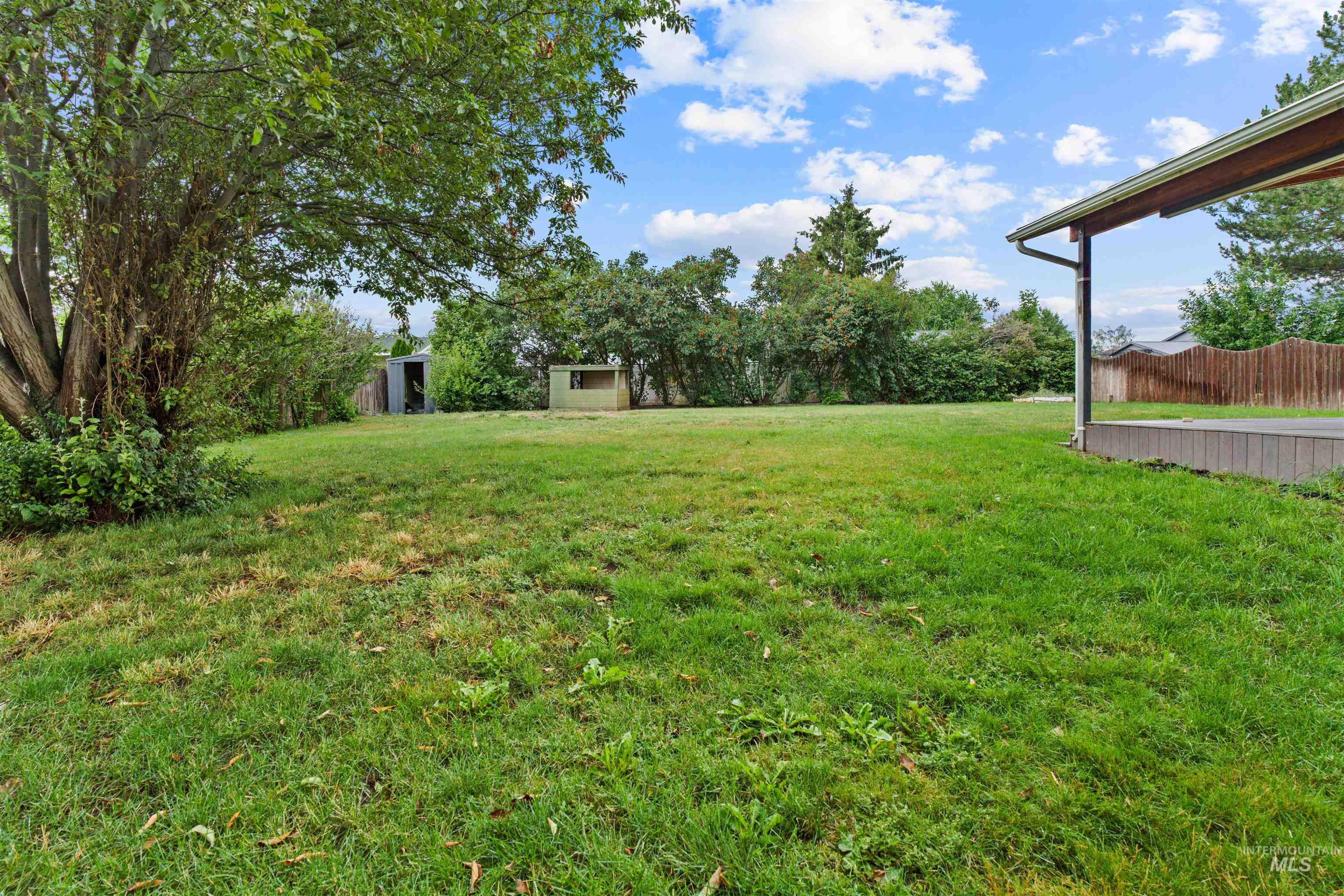Expansive lawn area featuring mature trees and established perimeter shrubbery