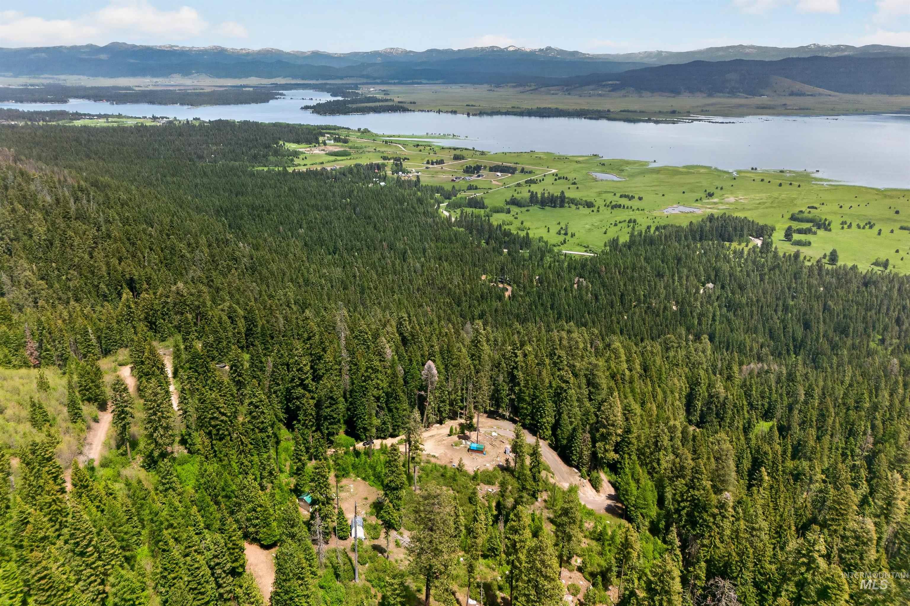 Expansive acreage featuring dense evergreen forests and distant lake scenery