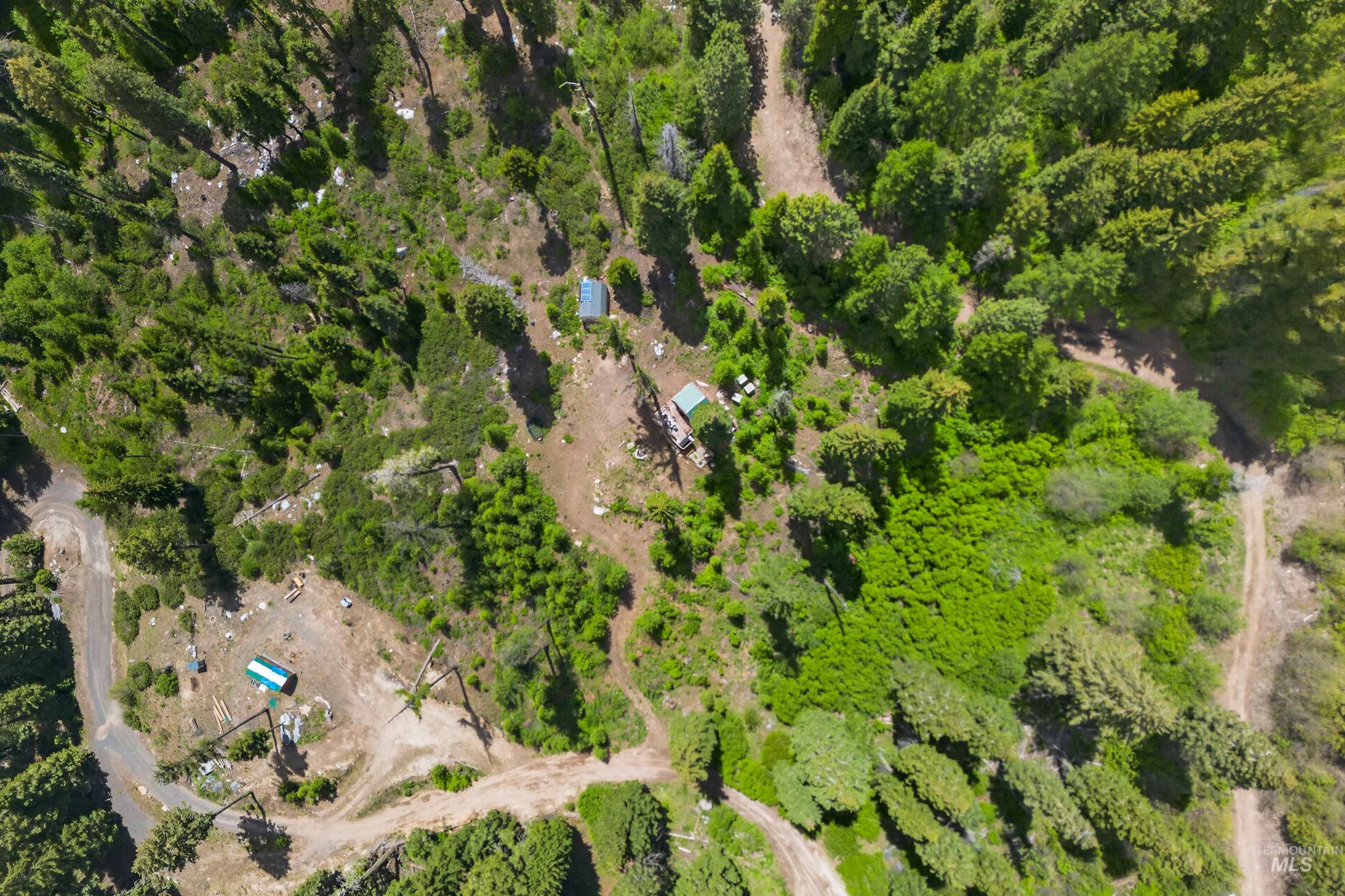 Expansive wooded terrain featuring mature evergreen trees and cleared areas